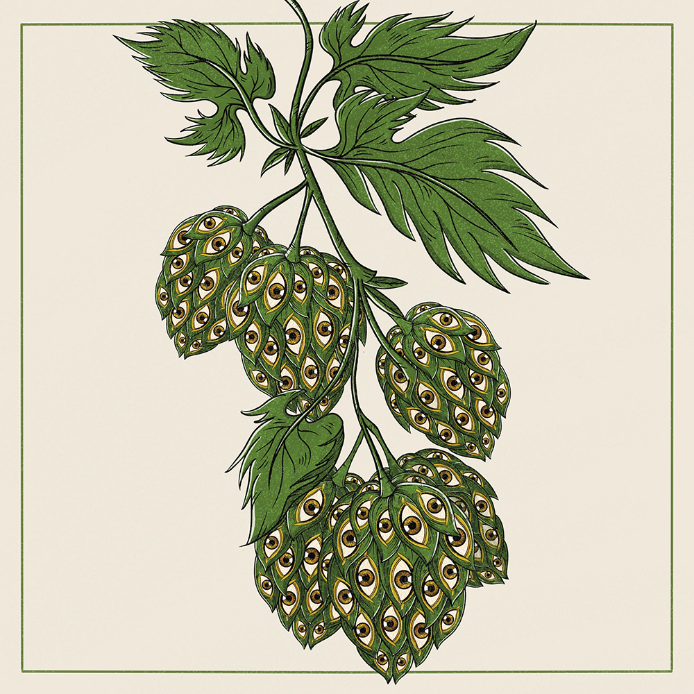 Illustration of beer hops with eyes.